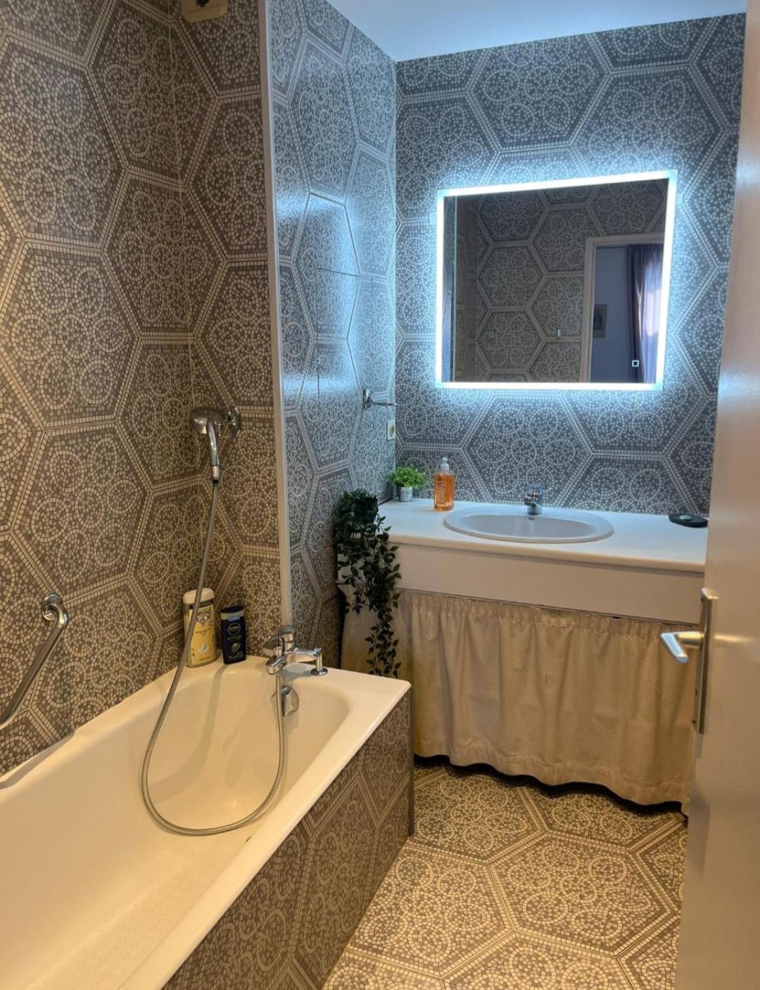 115 Rue Vauban Appartement Lyon Buitenkant foto