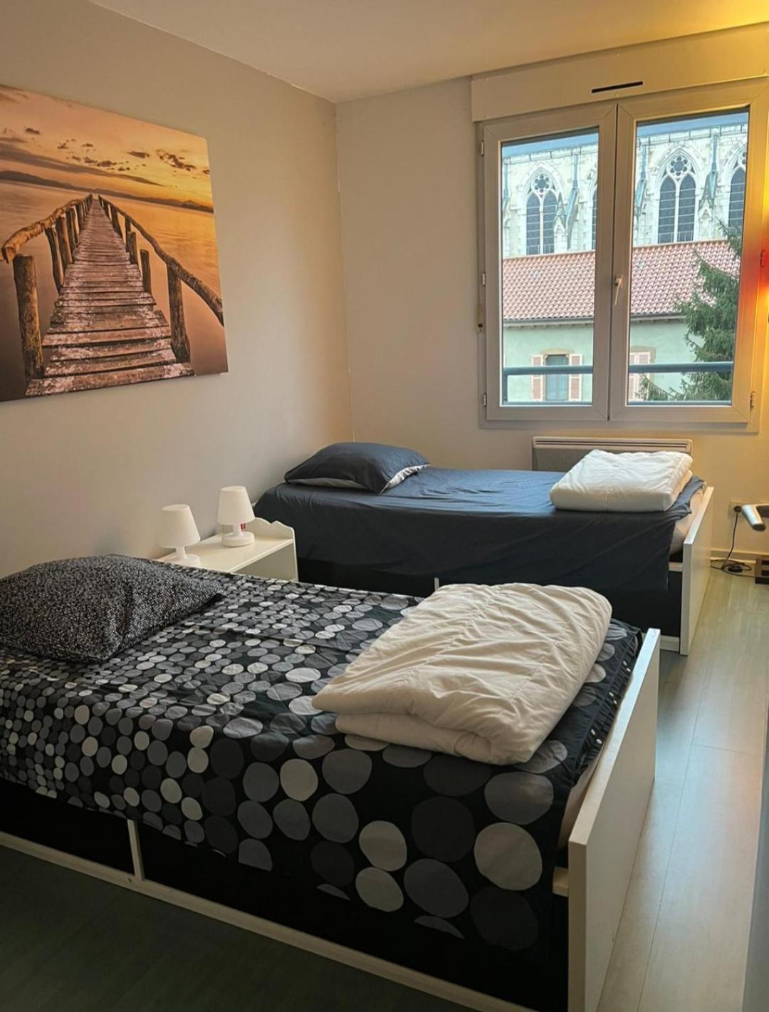 115 Rue Vauban Appartement Lyon Buitenkant foto