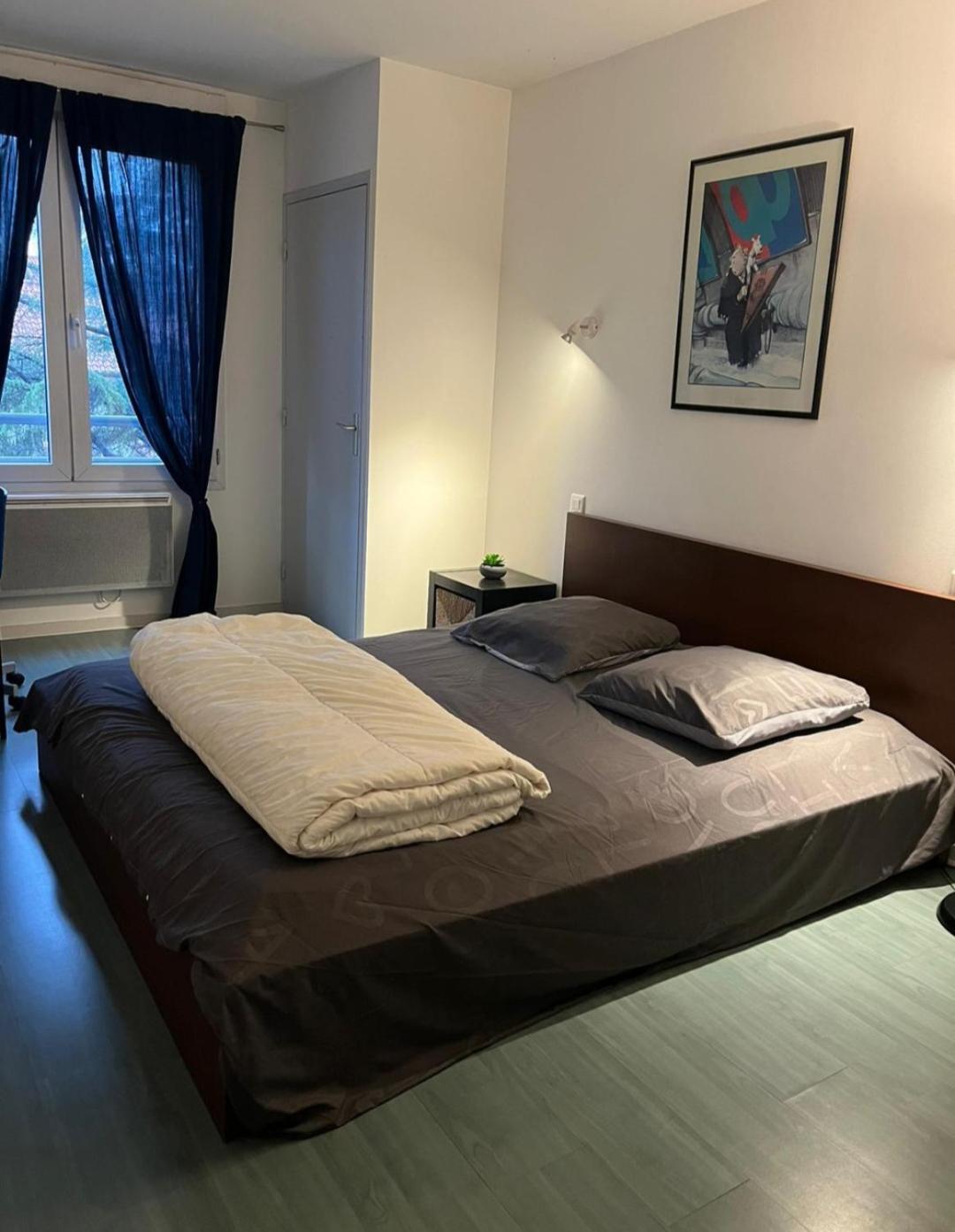 115 Rue Vauban Appartement Lyon Buitenkant foto